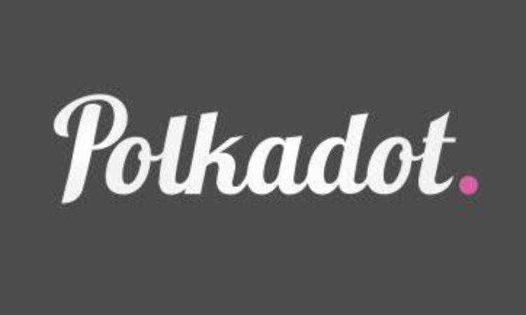 Polkadot的主网终于要上线了，我的代投却跑了