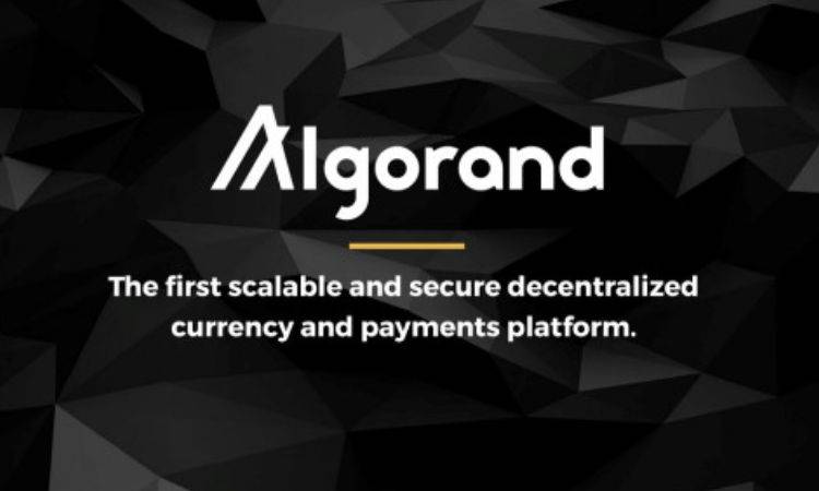 被套40天，投资者拍下的Algorand终于可以提前解套了