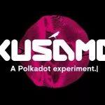 波卡实验网络 Kusama 正式上线