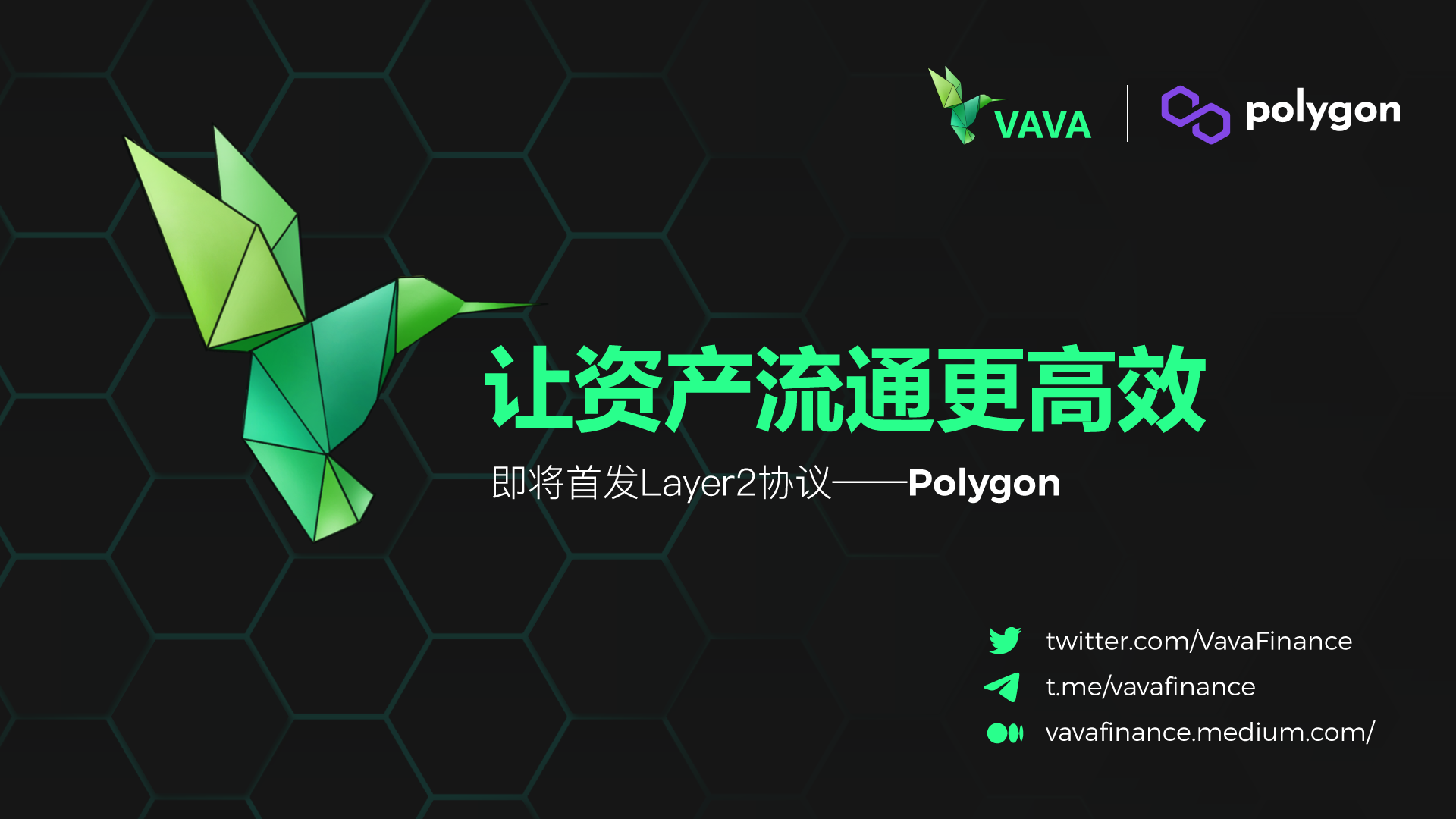 即将首发Polygon协议的VAVA是什么来头？