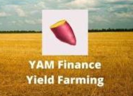 火星一线 | Yam Finance即将回归，代币YAM日内最高上涨超90%