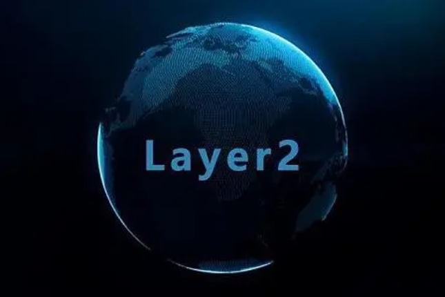 深度解读Layer2可扩展性：项目如何在ZK-Rollups和子网之间进行选择？
